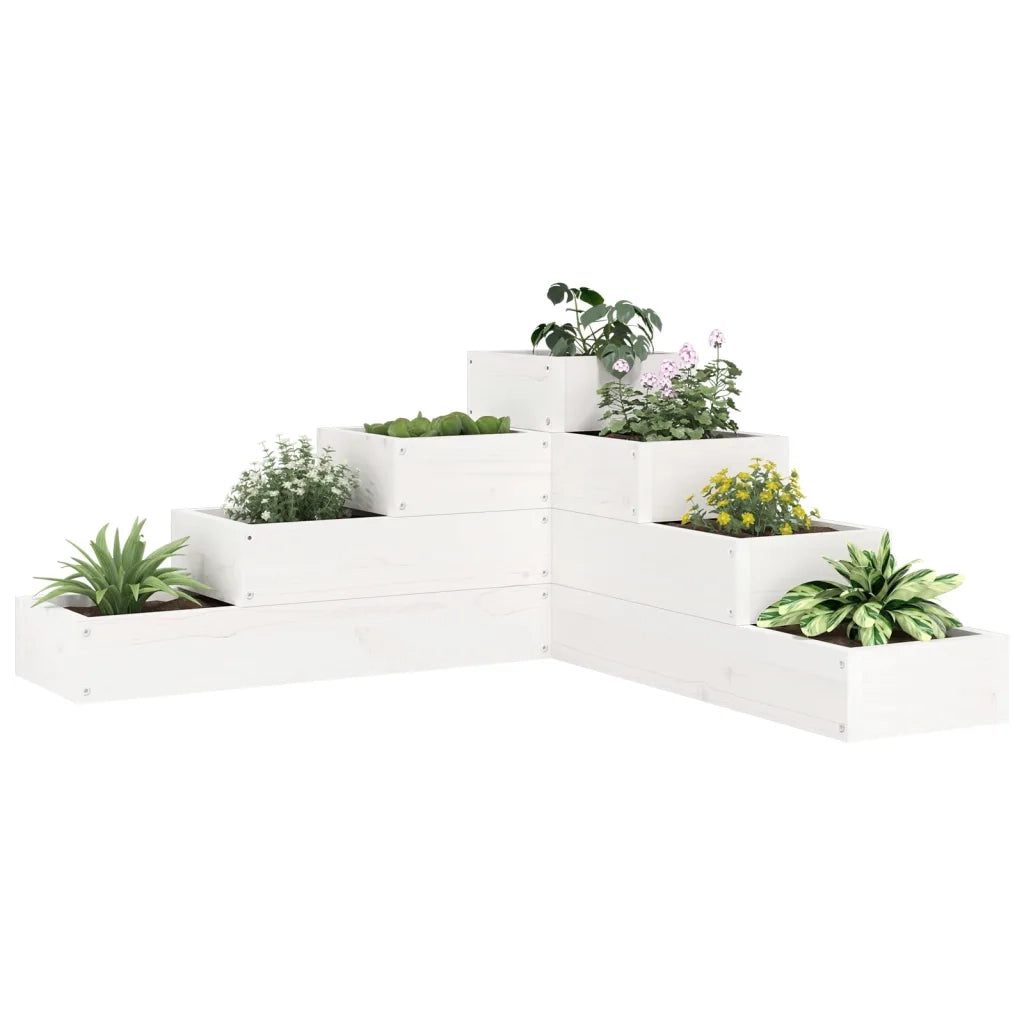 Fioriera | Cassetta per fiori | Vaso Giardino 4 Ripiani Bianca 80,5x79x36cm Massello Pino