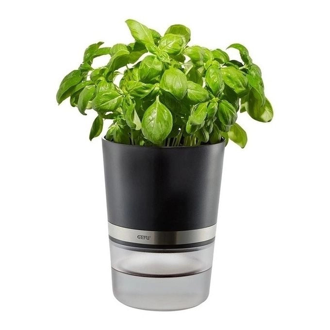 GEFU BOTANICO Vaso per erbe aromatiche Libera installazione Plastica, Acciaio inossidabile Nero