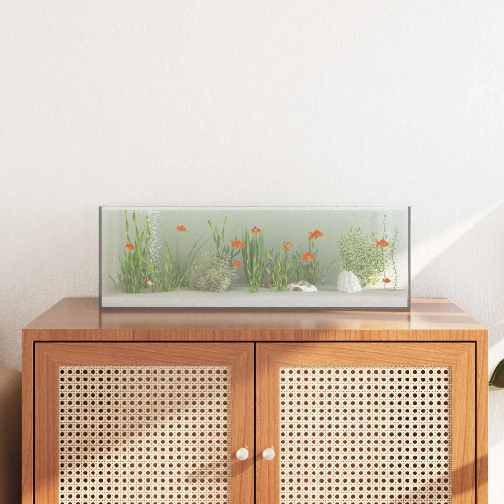 Acquario con archiviazione Trasparente 60 x 20 x 20 cm Vetro