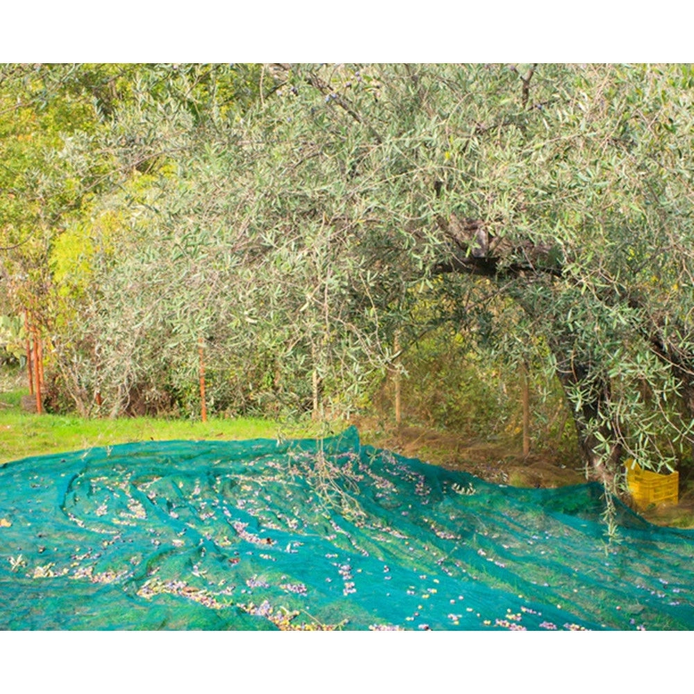Trade Shop - Set 3pz Rete Per Raccolta Olive Frutta Piantagioni Resistente Durevole 3x10mt Verde 222271 -