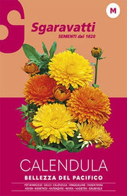SEMI PER PRATO UNIVERSALE calendula bellezza del pacifico- 10 pezzi  - SGARAVATTI