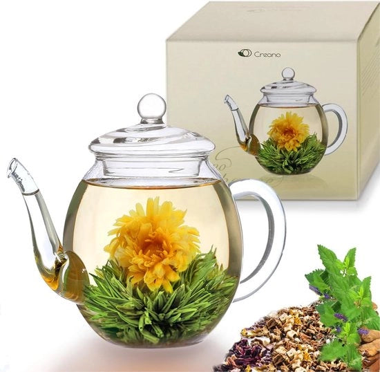 Teiera in vetro con coperchio per 500ml tè di fiori di tè, rose e tè libero e bustine di tè di alta qualità e resistente al calore