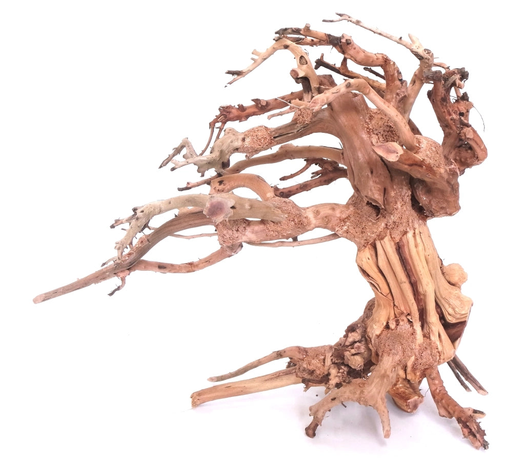 DecorLine Wind Wood misura Medium cm30x13x23h - legno naturale decorativo