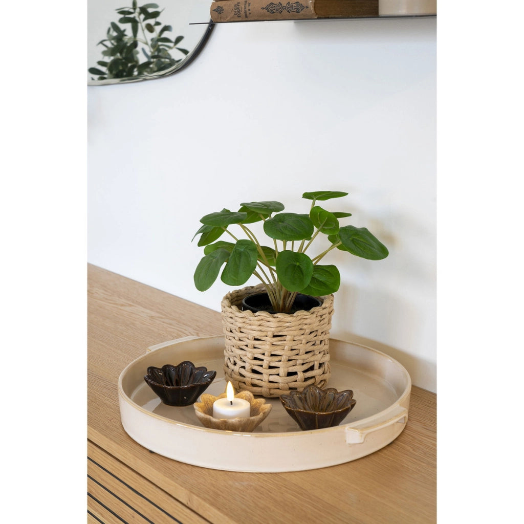 Pianta Artificiale Pilea, Verde, Plastica PE, 28x28x14 cm