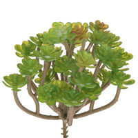 Set 9 Aoenium Succulent Artificiale Altezza 12 cm Verde