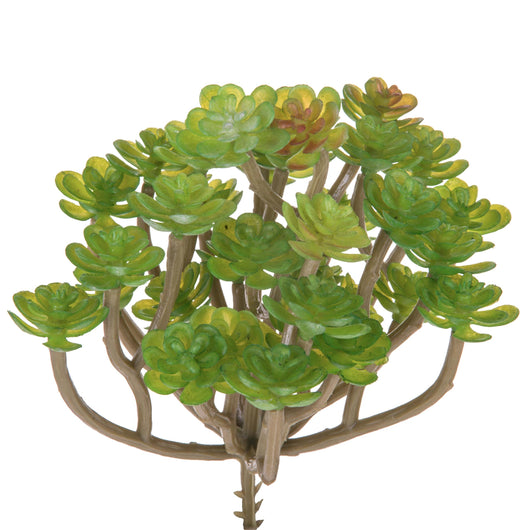 Set 9 Aoenium Succulent Artificiale Altezza 12 cm Verde