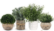 Mini Topiari Artificiali Piantine - 4 Pezzi Finto Erba Verde Piantine in Set di Vasi Artificiali - Faux Topiario in Plastica per Decorazione di Casa - Ufficio, Bagno, Cucina