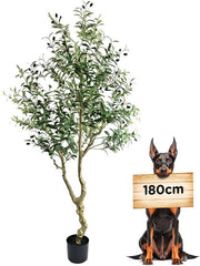 Pianta Artificiale di Olivo 180cm Pianta Decorativa per Salotto Camera da Letto Ufficio