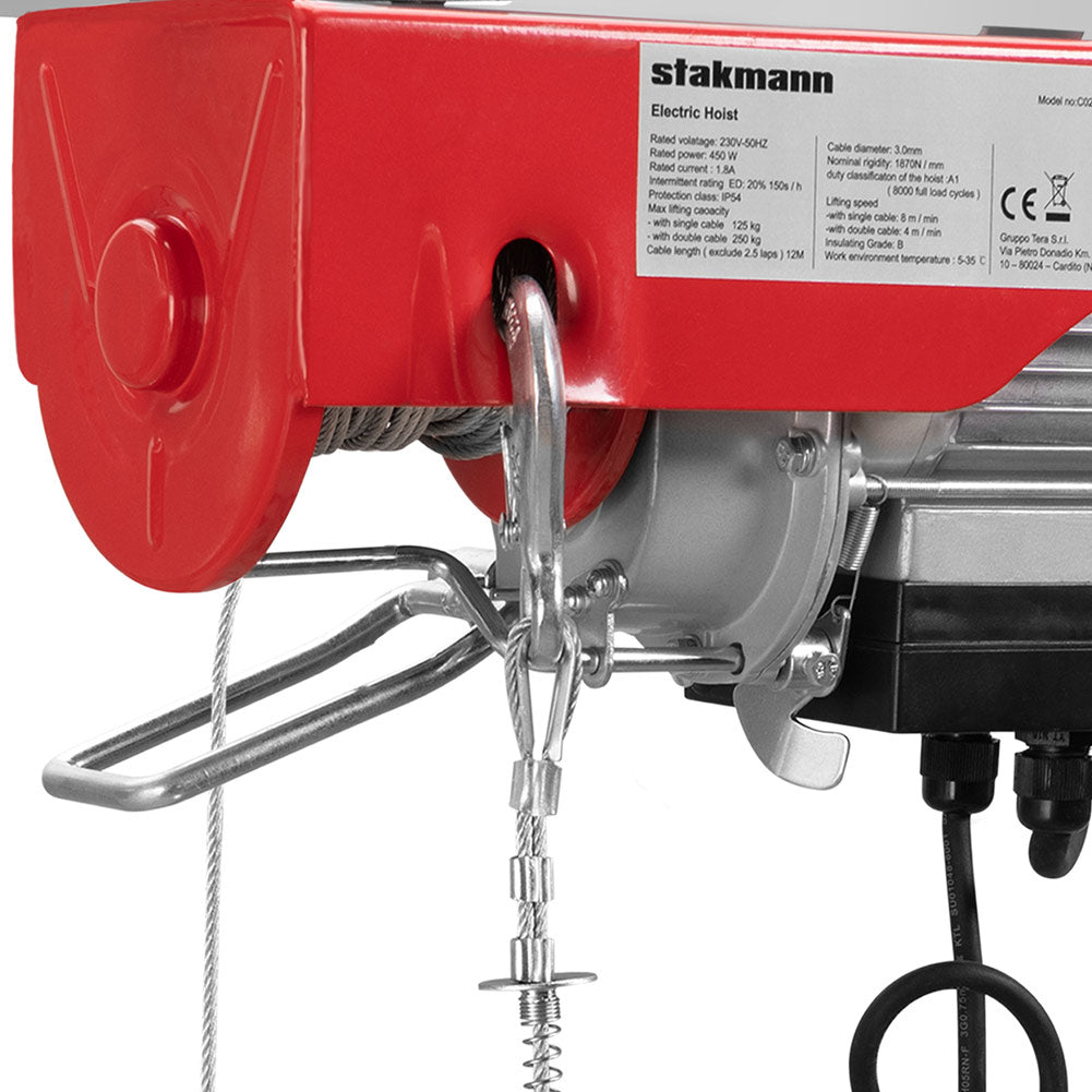 Paranco Elettrico Verricello Montacarichi 125/250kg Sollevatore 450Watt con Accessori