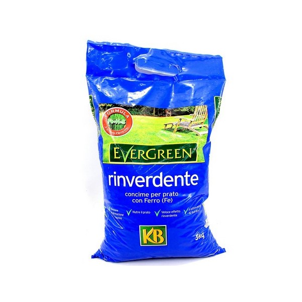 EVERGREEN RINVERDENTE  5 KG