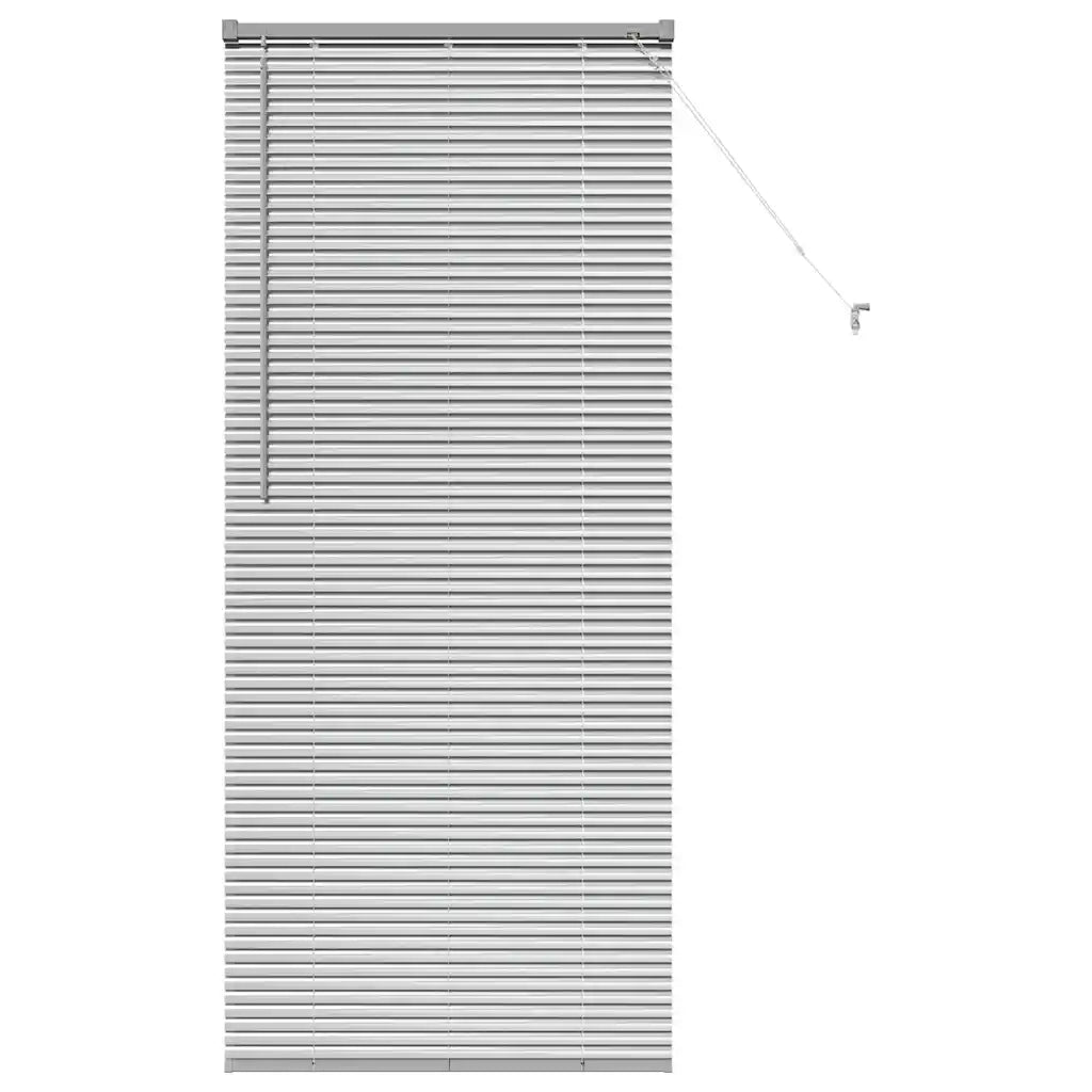 Tendaggi a Veneziana | Tenda a lamelle Argento 175 x 70 cm Alluminio