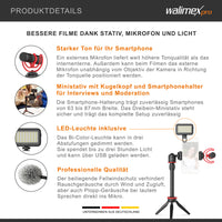 BOYA VG350 Kit video per smartphone