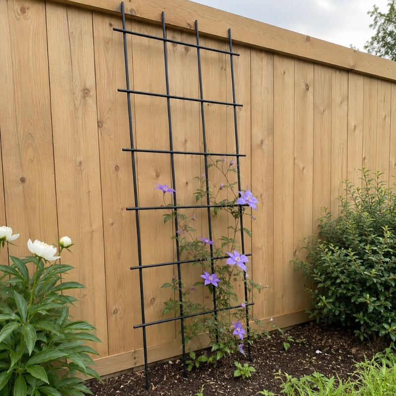 Supporto in metallo per pergola da giardino KADAX per piante, rose e fiori, 60x150 cm
