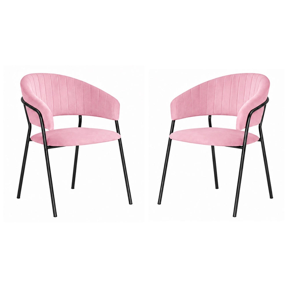 Sedie da sala da pranzo set da 2 Aurelia in velluto rosa con gambe nere