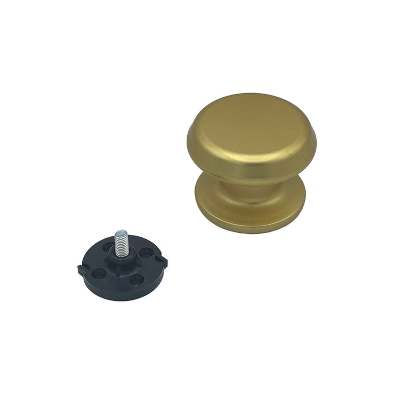 Pomolo fisso per porta SAGUATTI 177/80FB in alluminio oro satinato