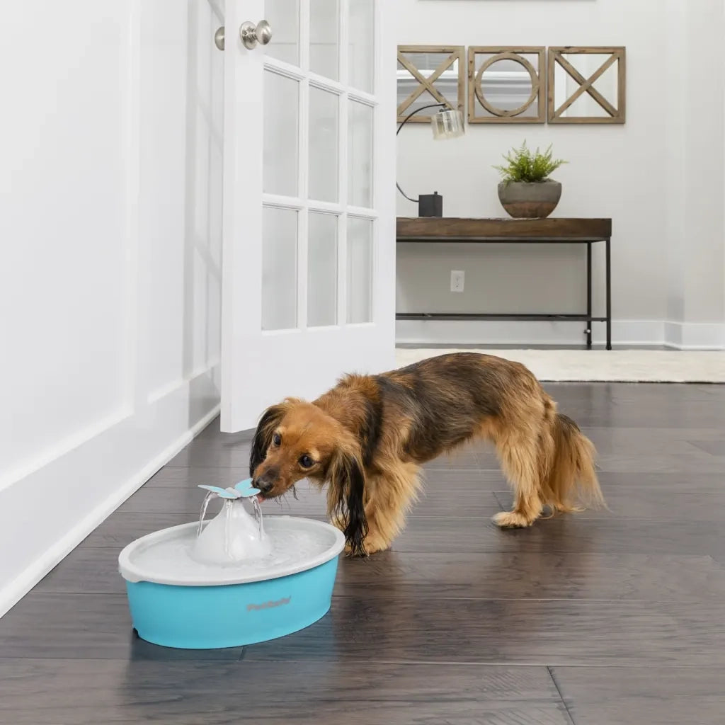 PetSafe Fontana per Animali Domestici Drinkwell con Farfalla 1,5 L 444457