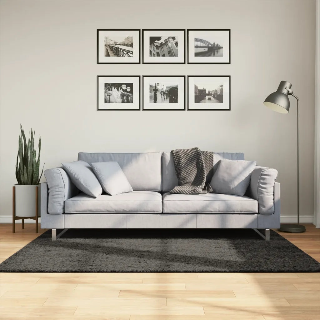Tappeto del soggiorno | Tappeto a Pelo Lucido Lungo ISTAN Effetto Antracite 120x170 cm