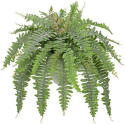 Vasi grandi di artefatti in vaso di Hollyone, 65 cm artefatti di vasi in vaso bianco, artefatti di piante di artefatti per interni ed esterni, casa, giardino, terrazza, balcone, decorazioni di ufficio