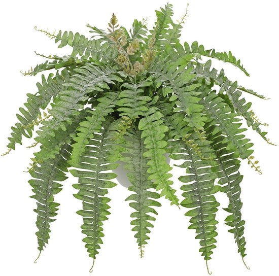 Vasi grandi di artefatti in vaso di Hollyone, 65 cm artefatti di vasi in vaso bianco, artefatti di piante di artefatti per interni ed esterni, casa, giardino, terrazza, balcone, decorazioni di ufficio