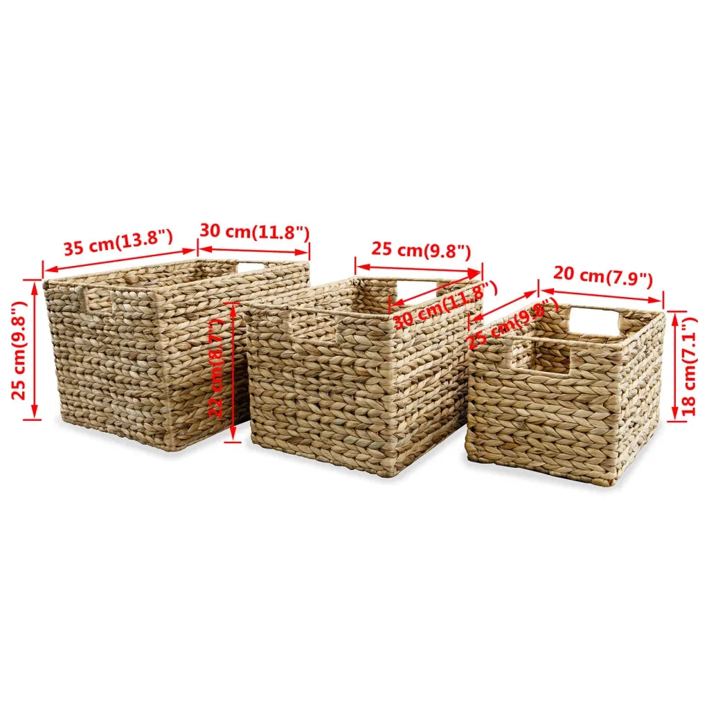 Set di Cesti Portaoggetti 3 pz in Giacinto d'Acqua CFW7822932