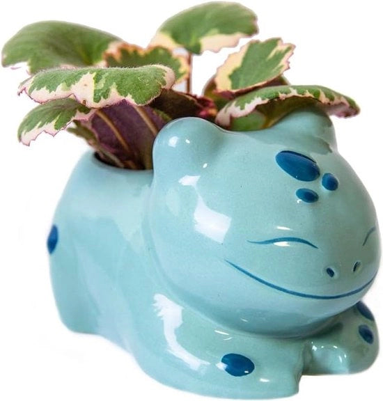 Vaso ceramico artigianale con spazio per la vaschetta - diametro 6 cm - adatto per cactus e piante grasse - piante mini - grandi vasi decorativi a mano dipinti - vaso decorativo con fiori