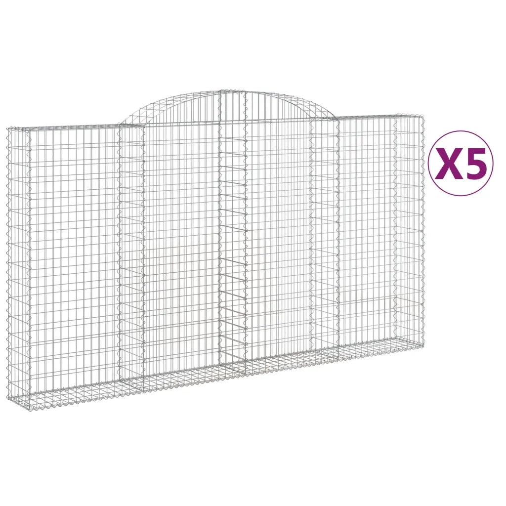 Cesti Gabbioni ad Arco 5 pz 300x30x160/180 cm Ferro Zincato 3146578