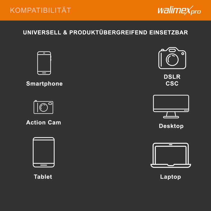 Boya HM2 Microfono palmare