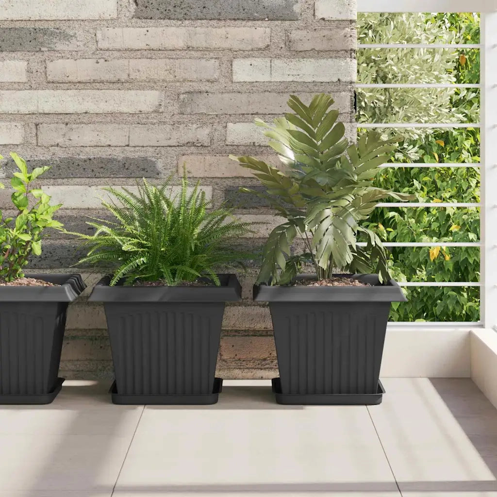 Vassoio Quadrato per Fiori 6 pz Nero 21 x 21 x 2 cm Plastica CFW4491209