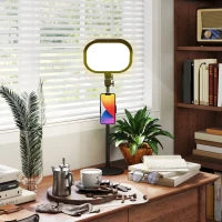 Lampada da Scrivania LED con Supporto per Telefono, 5 Colori di Luce e 10 Luminosità, Nero