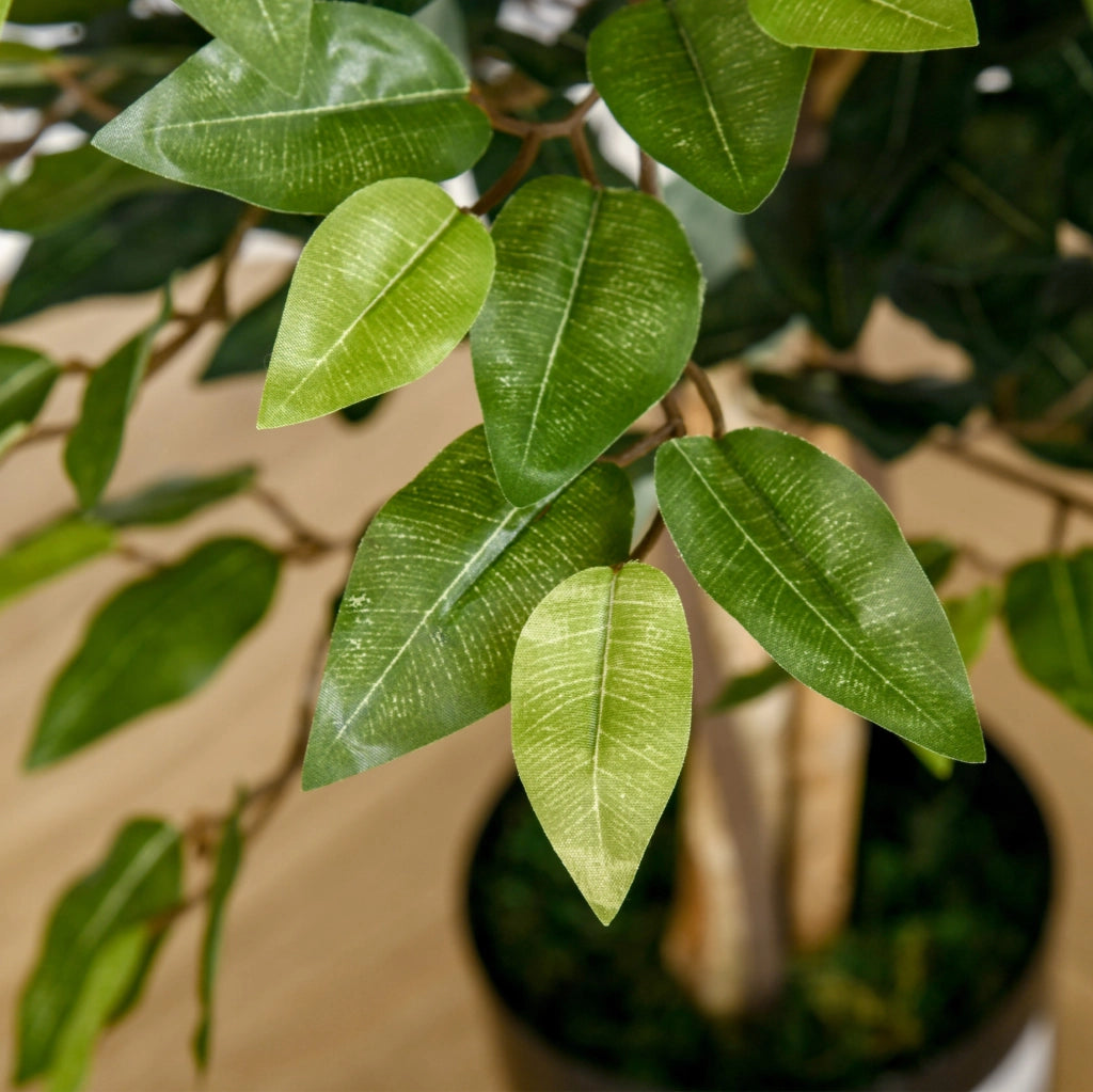 Ficus artificiale decorativo 150 cm con vaso in plastica per interno ed esterno, facile da mantenere