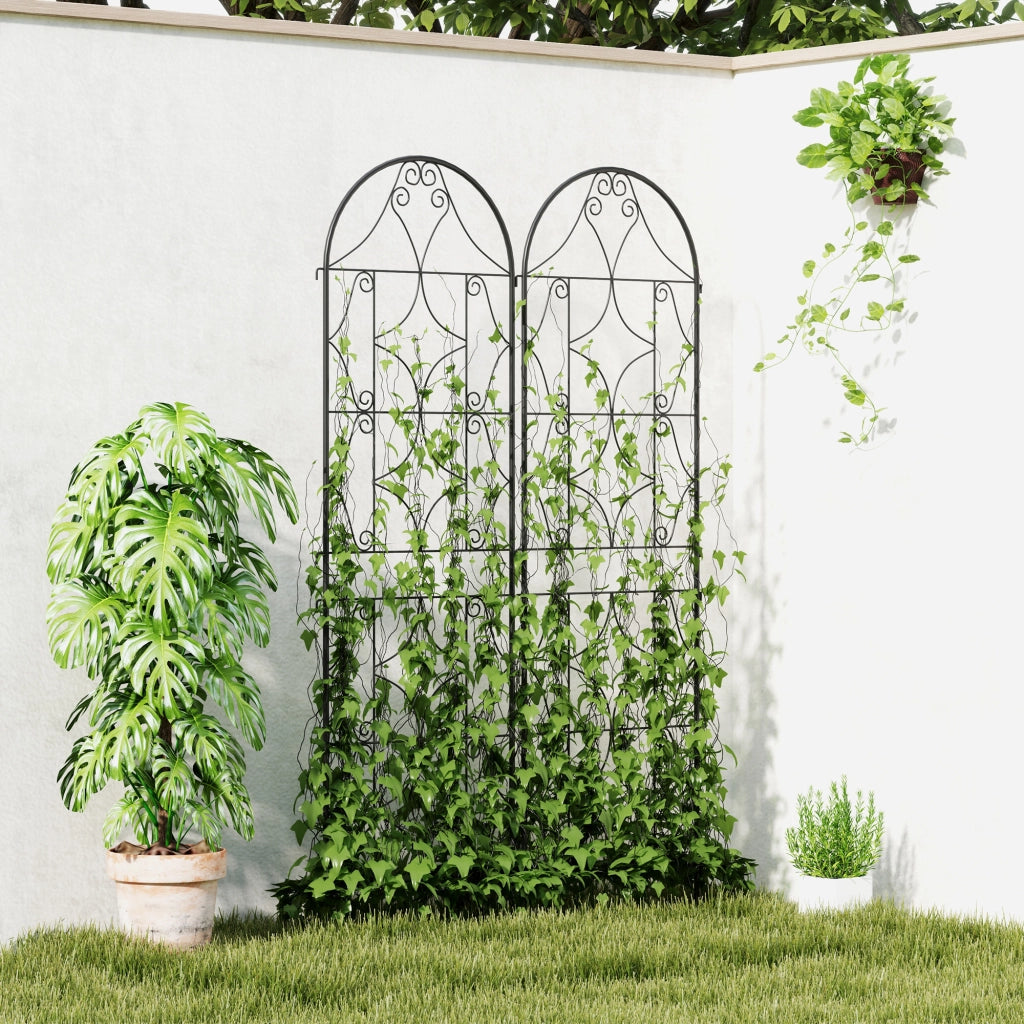 Griglia per piante rampicanti ¨C Zephmum ¨C Nero 50x180 cm
