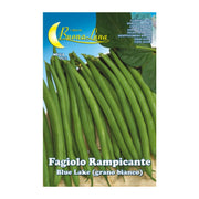 SEMI ORTO FAGIOLI RAMPICANTI BIANCHI- HORTUS SEMENTI- 5,0 pz