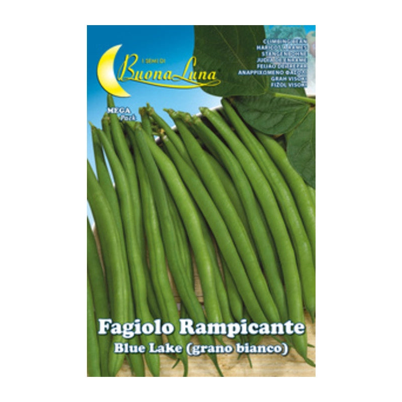 SEMI ORTO FAGIOLI RAMPICANTI BIANCHI- HORTUS SEMENTI- 5,0 pz