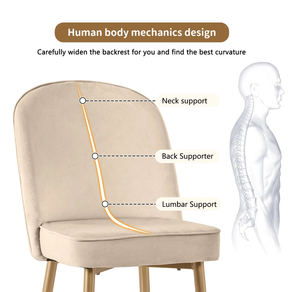 Sedie da sala da pranzo in velluto con schienale ergonomico, gambe in metallo dorato e piedini antiscivolo beige
