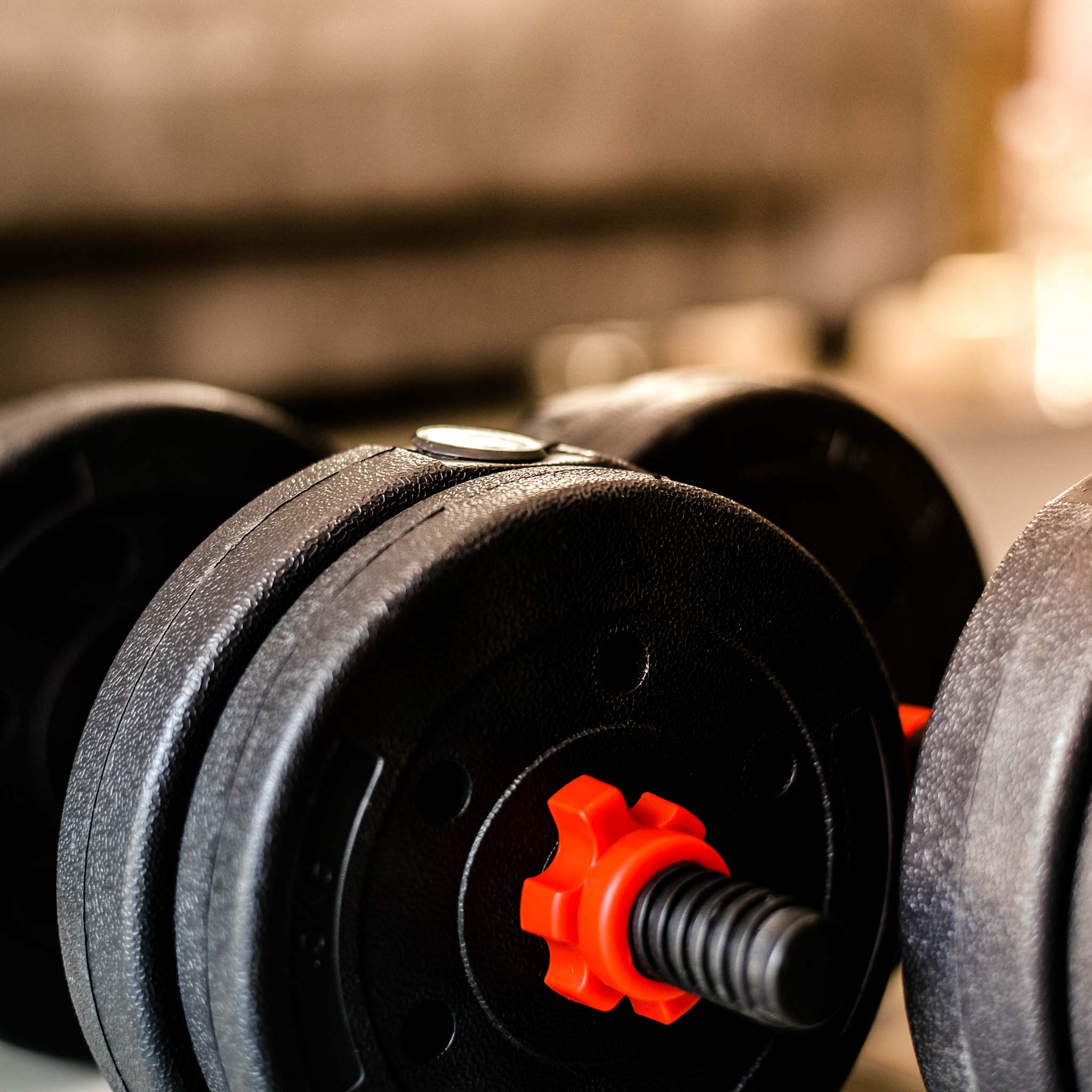 LUXTRI Set manubrio corto e bilanciere 2in1 30kg con 16 dischi per fitness allenamento forza