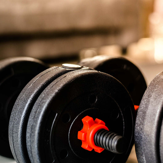 LUXTRI Set manubrio corto e bilanciere 2in1 30kg con 16 dischi per fitness allenamento forza