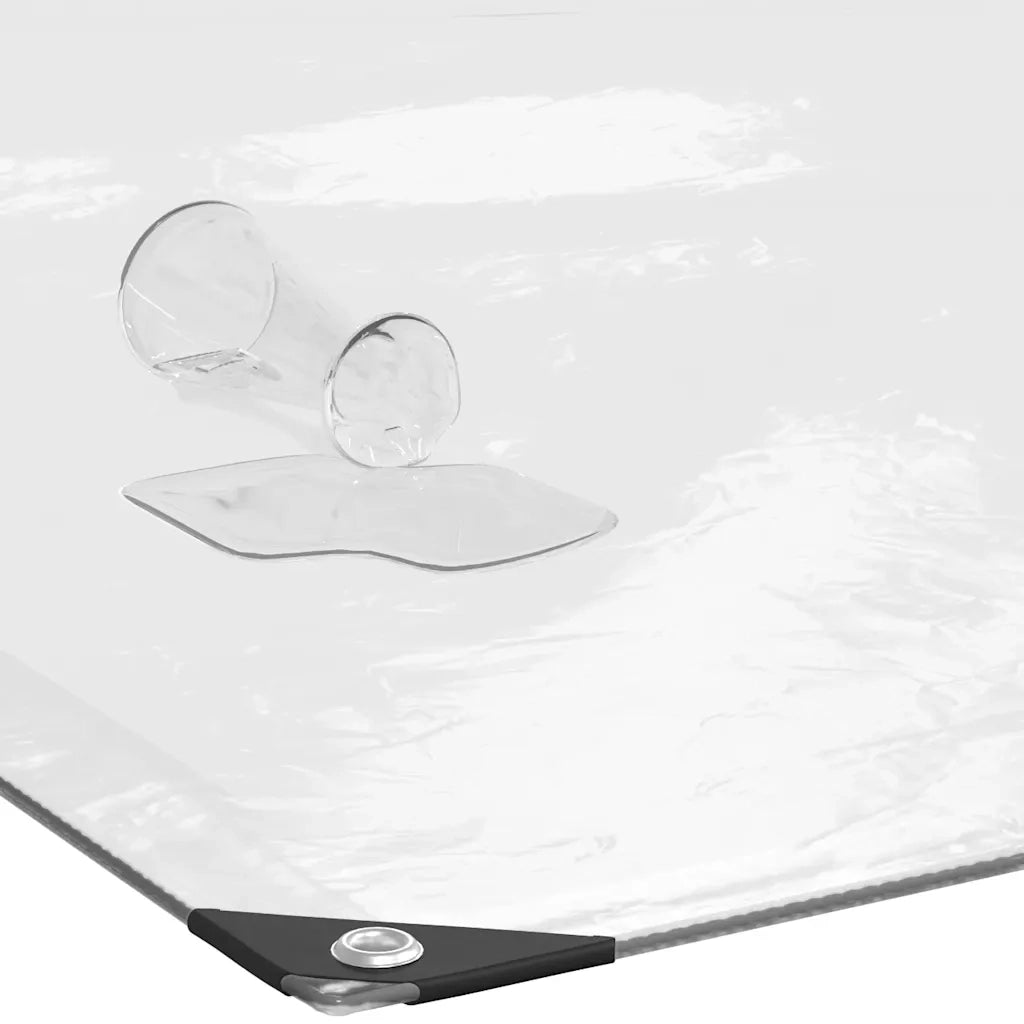 Telone Trasparente con Occhielli 2x5 m in Polietilene 4018506