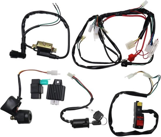Cavo di Alimentazione per Motocicletta - Quad - Adatto per 50cc/70cc/90cc/110cc/125cc - Cavo di Alimentazione Completo - Regolatore di Tensione - Doppia Fase - CDI - Installazione Professionale Raccomandata
