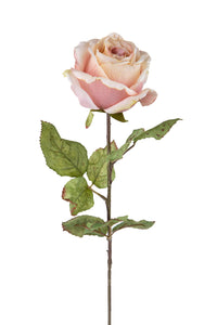 Set 4 Rose Artificiali con Dry Altezza 62 cm
