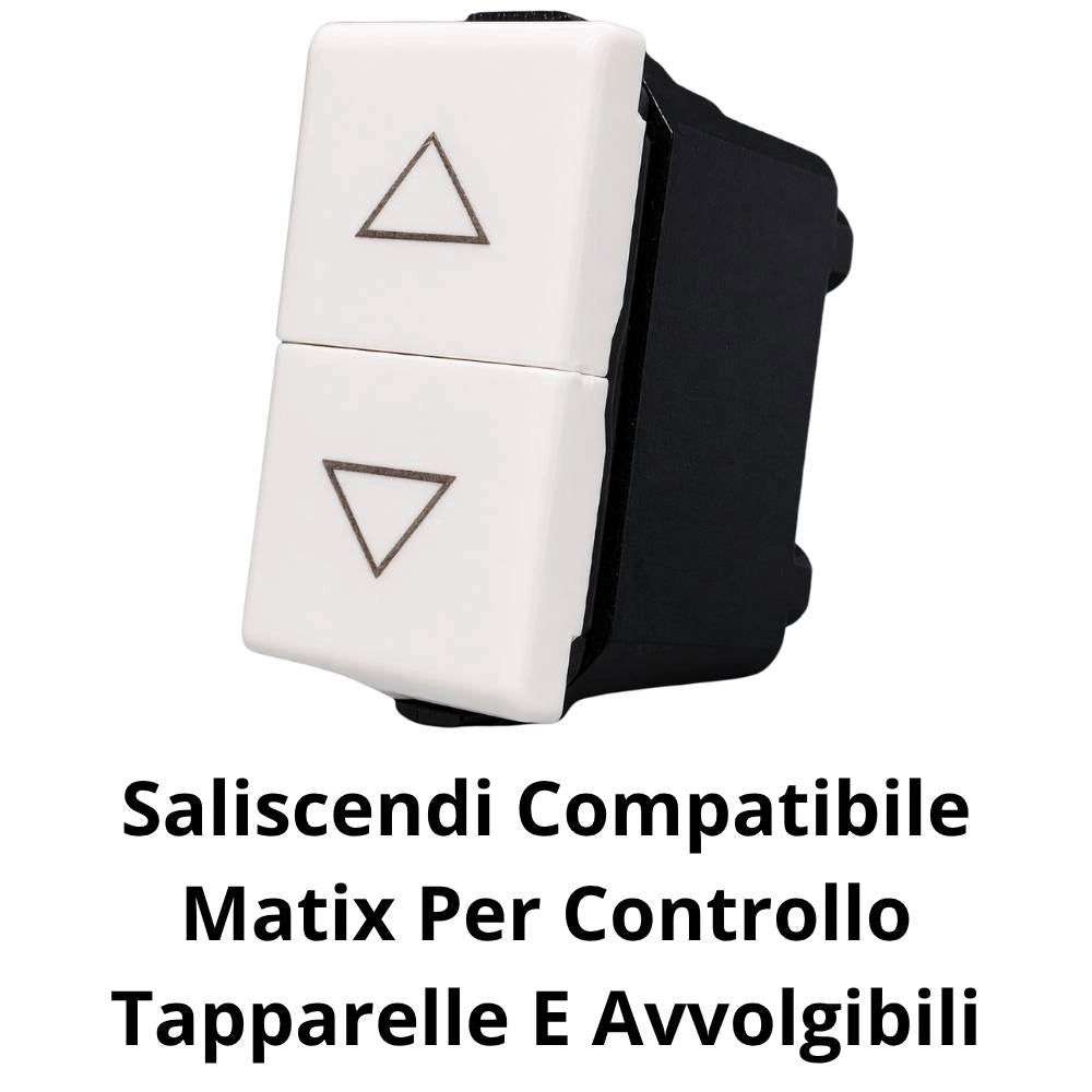 Saliscendi compatibile matix per controllo tapparelle e avvolgibili *** numero pezzi 2, confezione 1