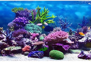 Decorazione per acquario PVC autoadesiva - Motivo corallino - 76 x 30 cm - Immagini HD - Rimuovi facilmente residui - Poster di sfondo