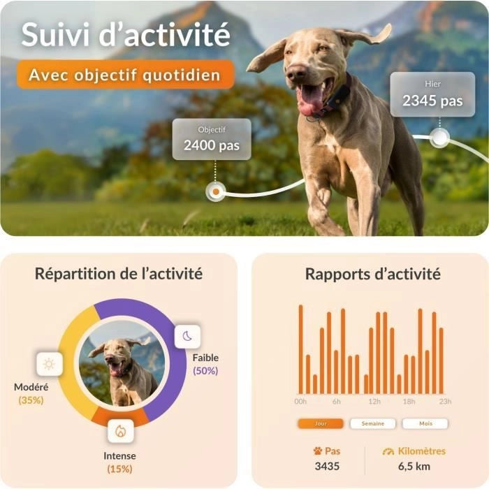 Collare GPS per cani - WEENECT Dog XT - Antenna XL - Impermeabile - Collare Julius-K9 - Funziona con abbonamento - Arancione