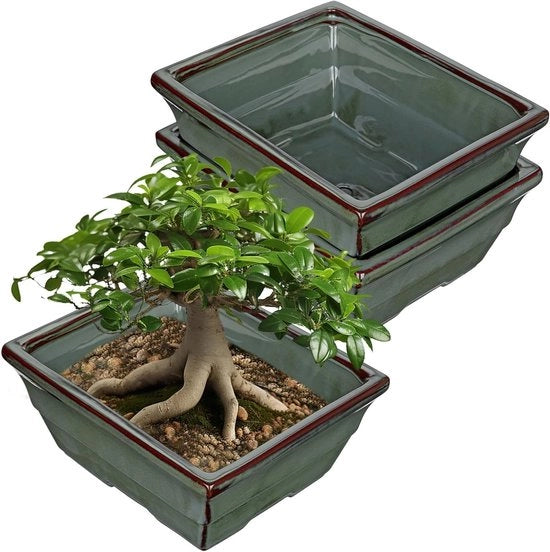 Set di 2 vasi per bonsai in ceramica con fori di drenaggio per piante di giardino giapponesi, decorazione di giardino retro, diametro di apertura 25,5 cm, ideale per uso interno ed esterno.