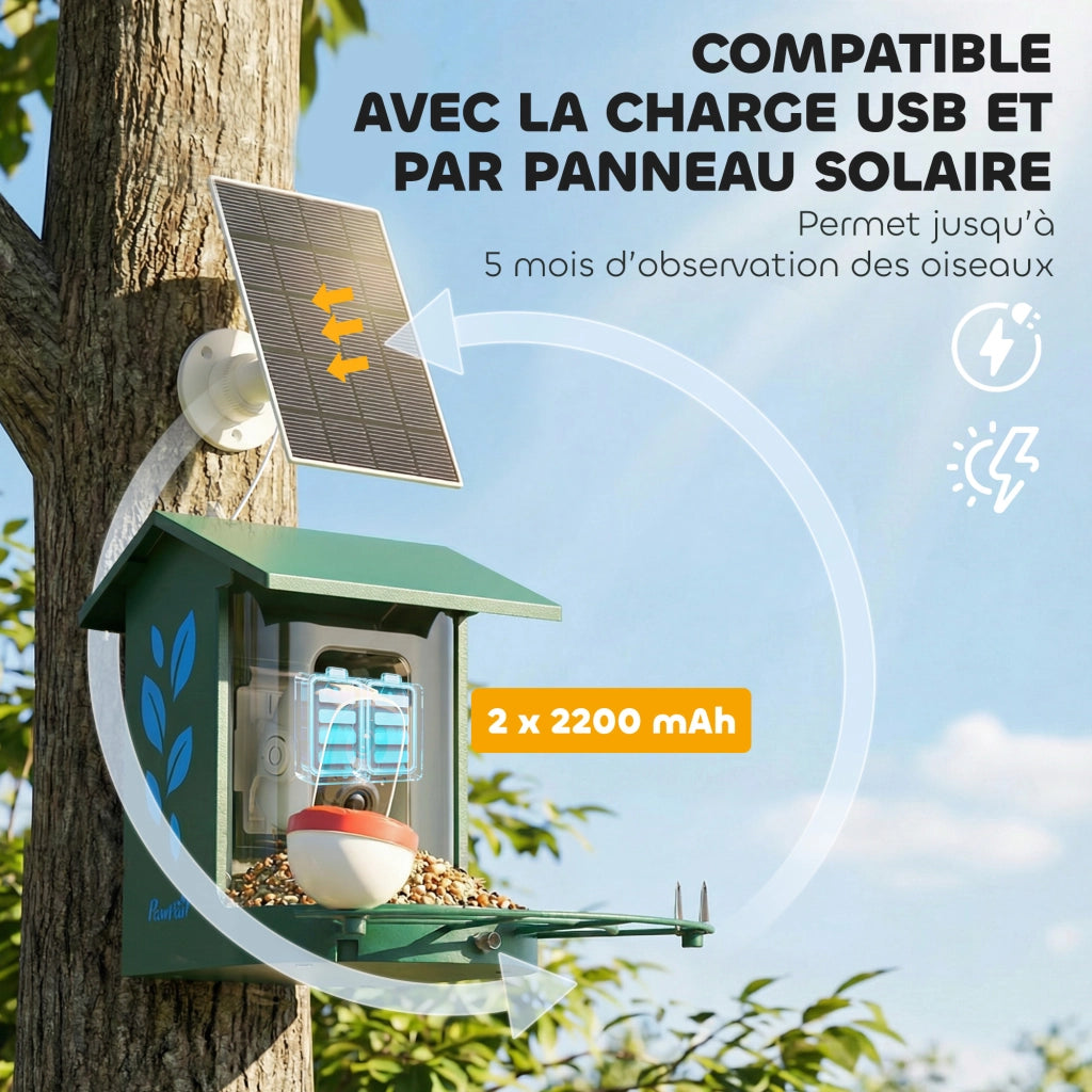 Mangiatoia per Uccelli con Fotocamera 2K ¨C Xylo ¨C Acciaio Anti-Scoiattolo Pannello Solare 30x34,5x26,3cm Verde