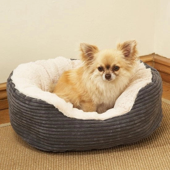 Letto per cani e gatti, letto per animali domestici, disponibile su entrambi i lati, materasso per cani
