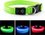 Cani illuminati – Collare per cani con luci – Lampada per cani - Cani passeggio – Lampada per cani con batteria 4 AA 1,5V