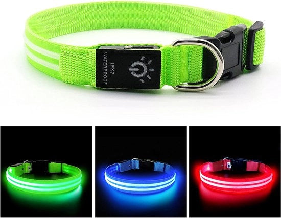Cani illuminati – Collare per cani con luci – Lampada per cani - Cani passeggio – Lampada per cani con batteria 4 AA 1,5V