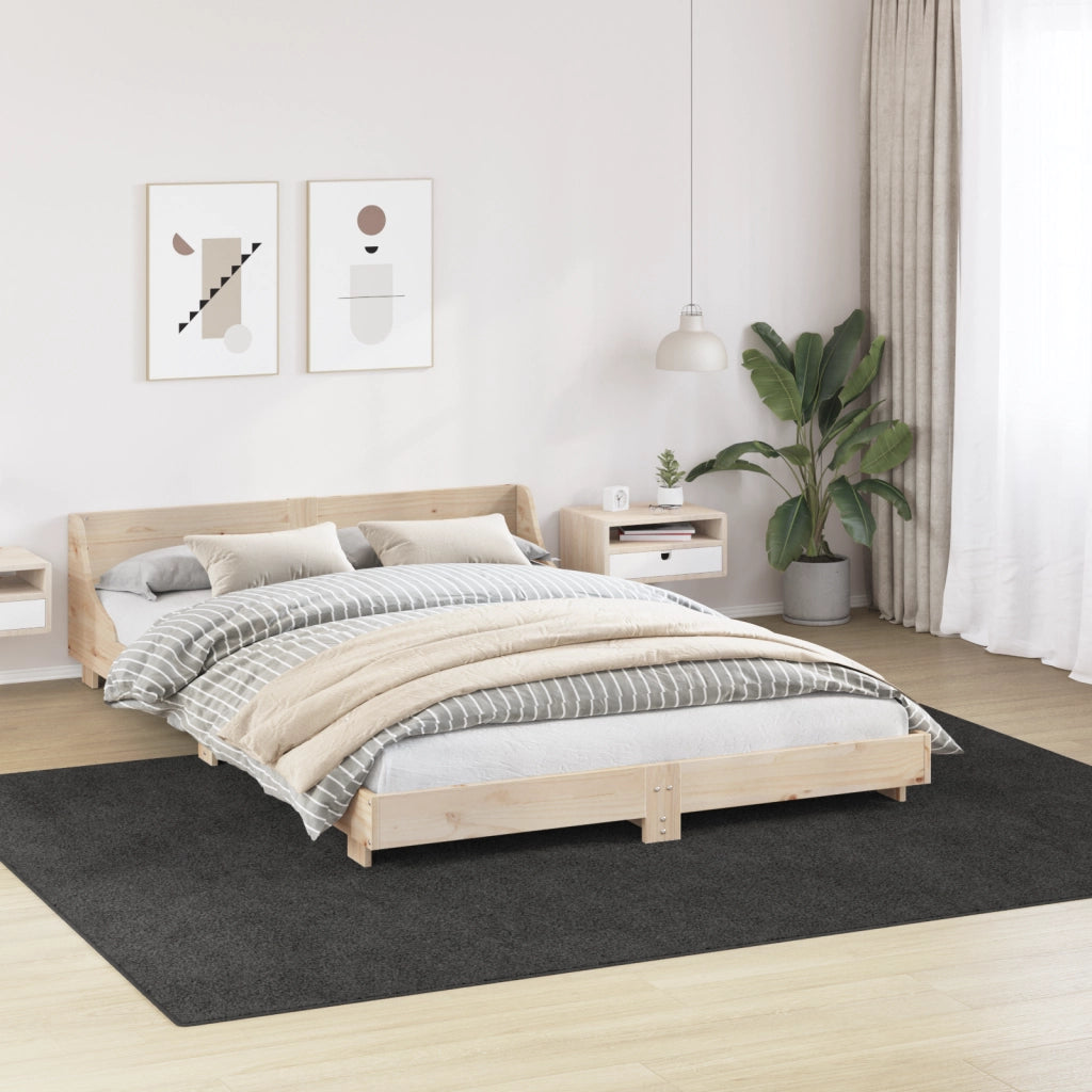 Tappeto Shaggy con retro in lattice grigio scuro 240x340 cm