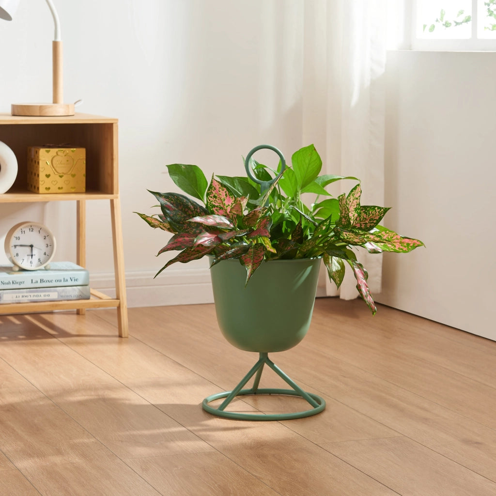 Stand Portapiante Alphen con 1 Vaso - Verde [en.casa]