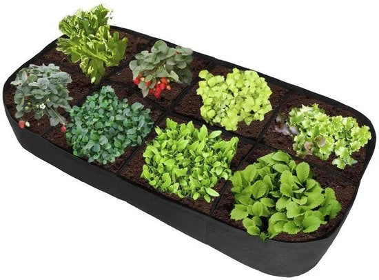 Zak per la coltivazione di piante, vassoio per piante elevato a 6 celle di sostanza di vetro, vaso per piante di forma rettangolare, vaso per piante per esterni, vaso per piante per orto, vaso per piante per fiori e piante, (120 x 60 x 30 cm)